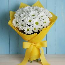 Букет цветов из:  Хризантемы в Большие Колпаны