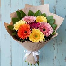 Букет цветов из:  Герберы в Большие Колпаны