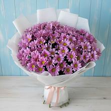 Букет цветов из:  Хризантемы #REPLACE_PRED# Большие Колпаны