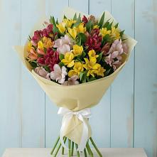Букет цветов из:  Альстромерии в Большие Колпаны