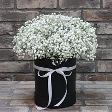 Цветочная композиция из Гипсофила в шляпной коробке в Большие Колпаны